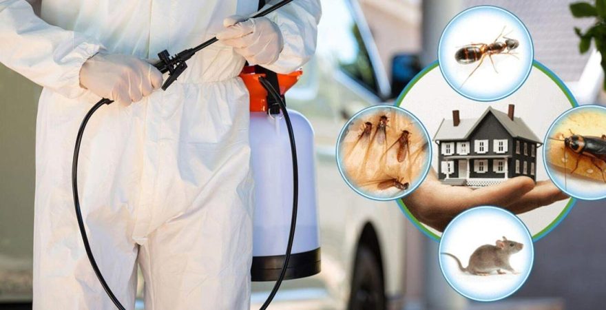 Almus Böcek İlaçlama