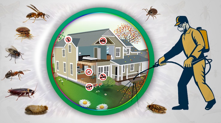 Almus Böcek İlaçlama