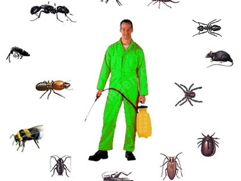 Almus Böcek İlaçlama